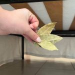 A bay leaf under your bed? Discover the hidden power of this ancient trick