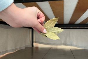 A bay leaf under your bed? Discover the hidden power of this ancient trick