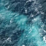 Ancient lost sea uncovered : the hidden force behind today’s soft coral diversity