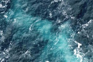 Ancient lost sea uncovered : the hidden force behind today’s soft coral diversity