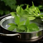 Boiling mint leaves at home : what it does for you and why experts recommend it