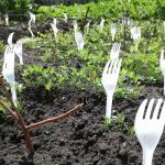 More and more gardeners are putting plastic forks in their vegetable gardens—and they’re absolutely right to do it