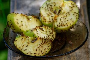 Say goodbye to fruit flies: the ultimate foolproof trick to keep your fruit basket insect-free every time