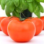 Stop wasting tomatoes : the secret spot to keep them fresh and flavorful