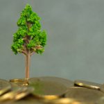 They say money doesn’t grow on trees — but scientists just found gold does