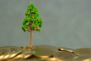 They say money doesn’t grow on trees — but scientists just found gold does