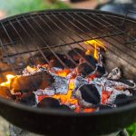 Why placing lemon peels on barbecue coals is a game-changer for your grill sessions