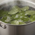 Why simmering mint leaves at home is the simple trick your space—and your mood—needs today