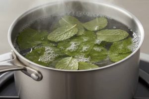 Why simmering mint leaves at home is the simple trick your space—and your mood—needs today