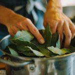 Why you should boil bay leaves and the surprising benefits they bring